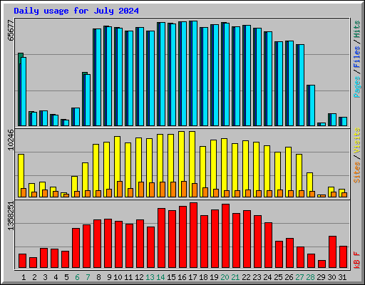 Daily usage for July 2024