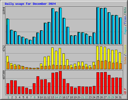 Daily usage for December 2024