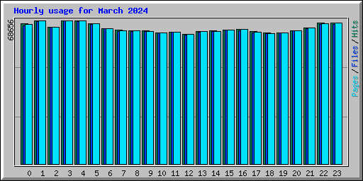 Hourly usage for March 2024