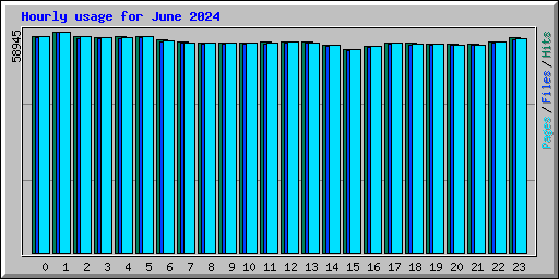 Hourly usage for June 2024