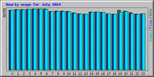 Hourly usage for July 2024