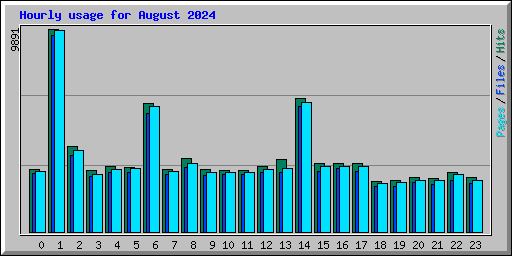 Hourly usage for August 2024