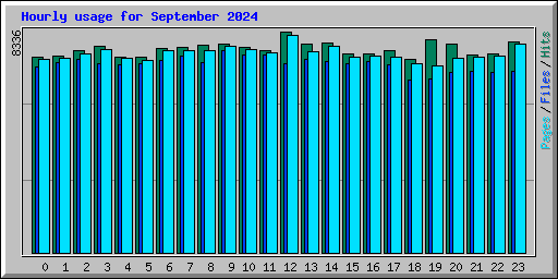 Hourly usage for September 2024