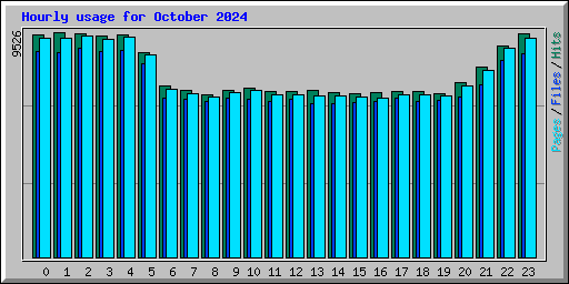 Hourly usage for October 2024