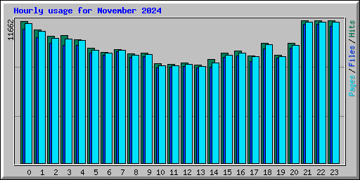 Hourly usage for November 2024