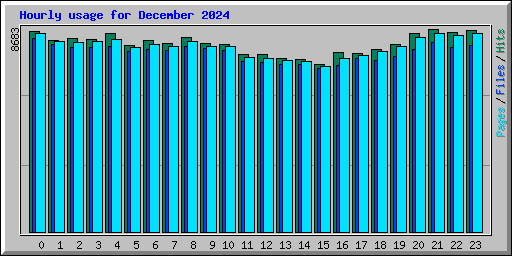 Hourly usage for December 2024