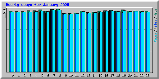 Hourly usage for January 2025